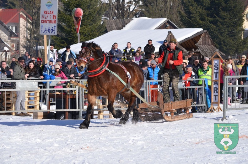 Preteky gazdovských koní 2015-70