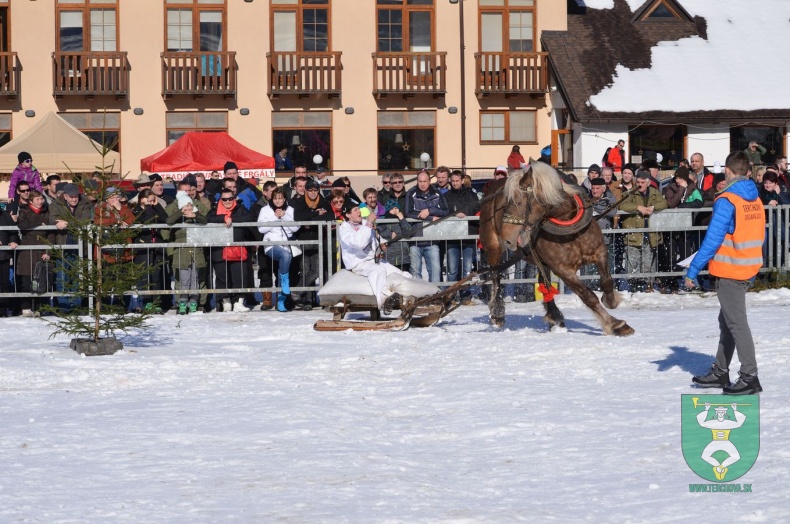 Preteky gazdovských koní 2015-68