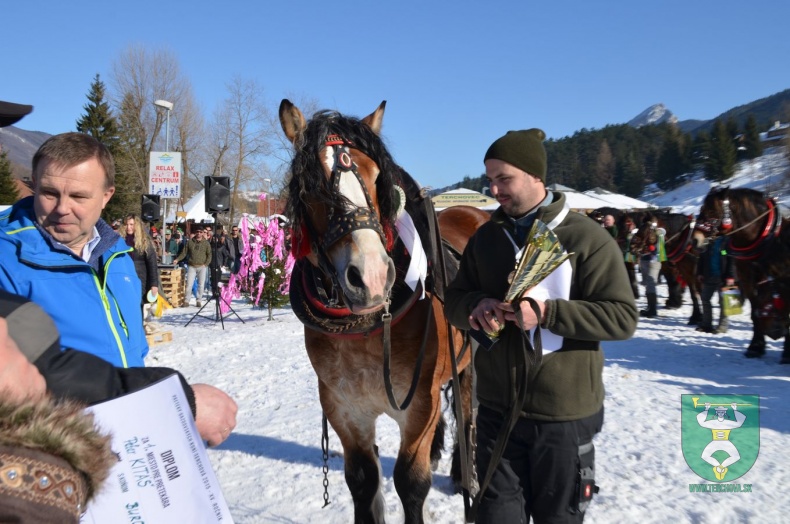 Preteky gazdovských koní 2015-127