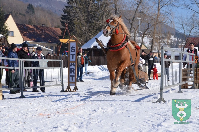 Preteky gazdovských koní 2015-37