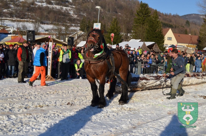 Preteky gazdovských koní 2015-19