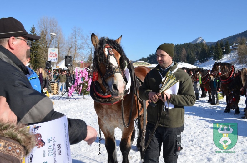 Preteky gazdovských koní 2015-128