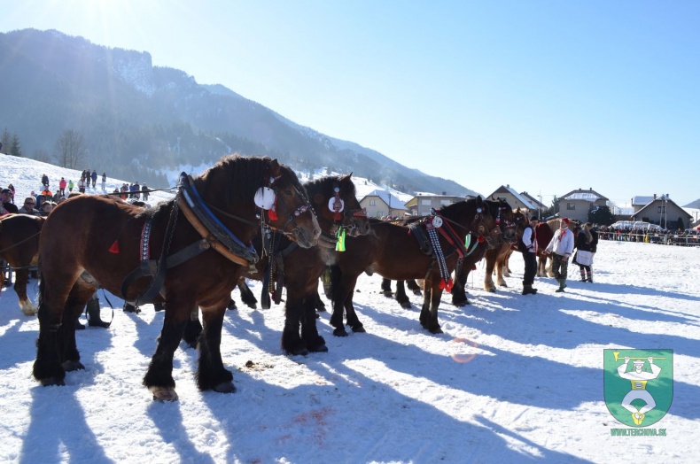 Preteky gazdovských koní 2015-107