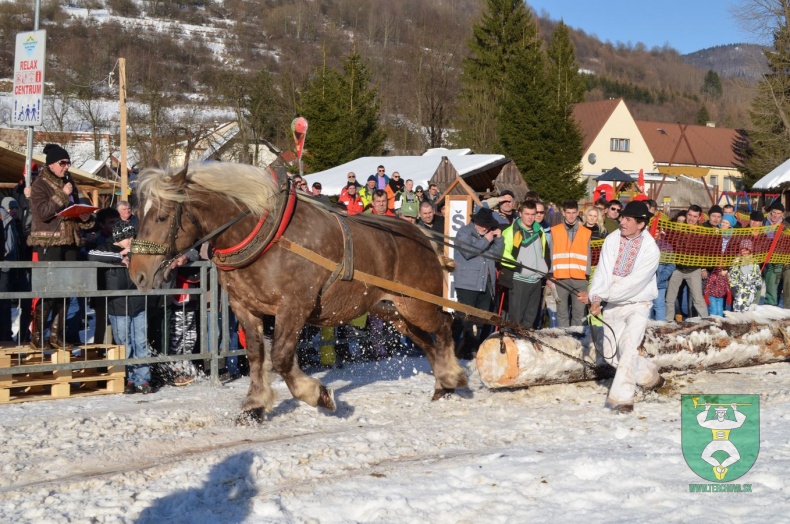 Preteky gazdovských koní 2015-12