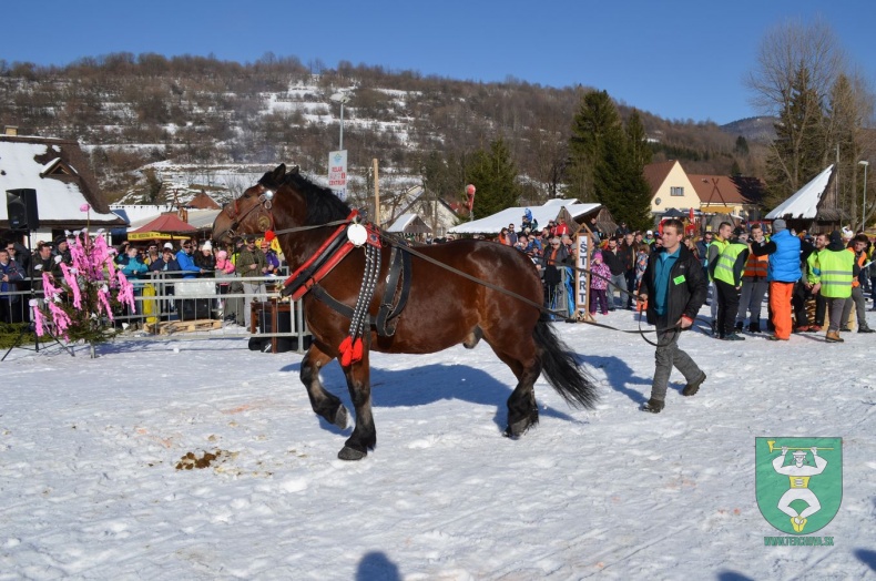 Preteky gazdovských koní 2015-106