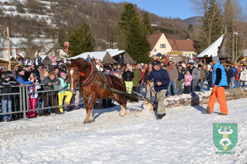 Preteky gazdovských koní 2015-6