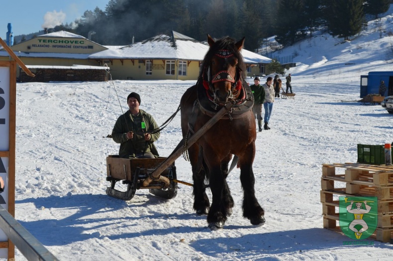 Preteky gazdovských koní 2015-31