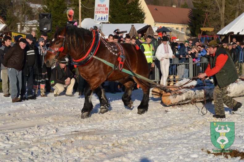 Preteky gazdovských koní 2015-22