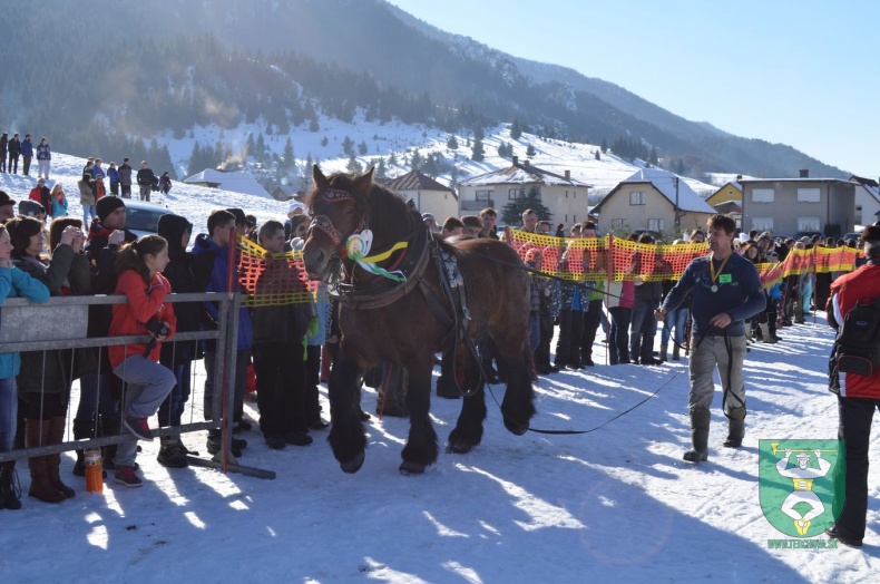 Preteky gazdovských koní 2015-103
