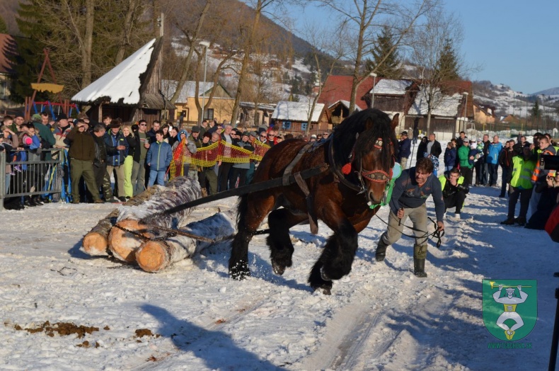 Preteky gazdovských koní 2015-21