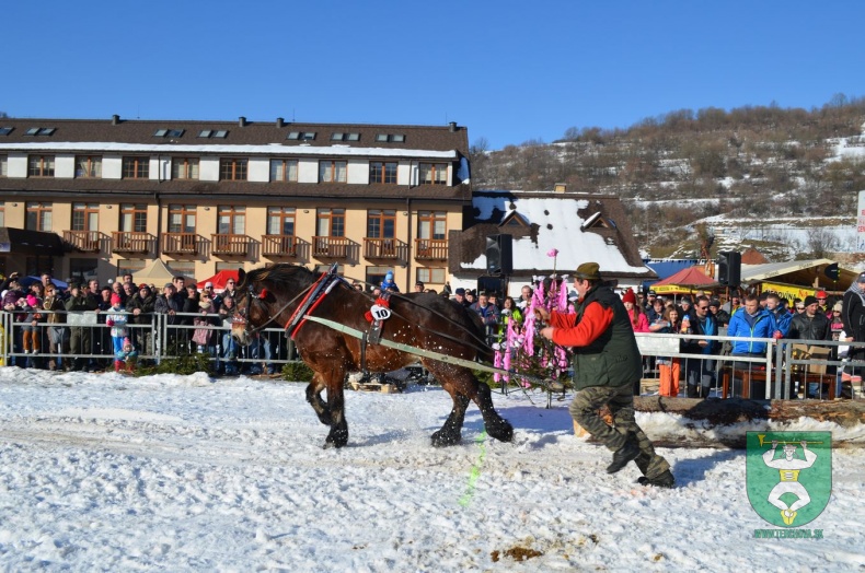 Preteky gazdovských koní 2015-134