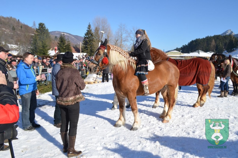 Preteky gazdovských koní 2015-124