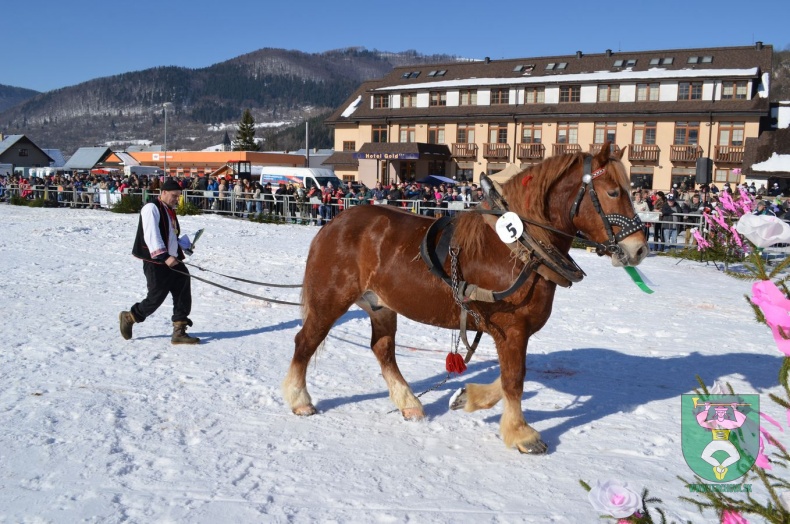 Preteky gazdovských koní 2015-82