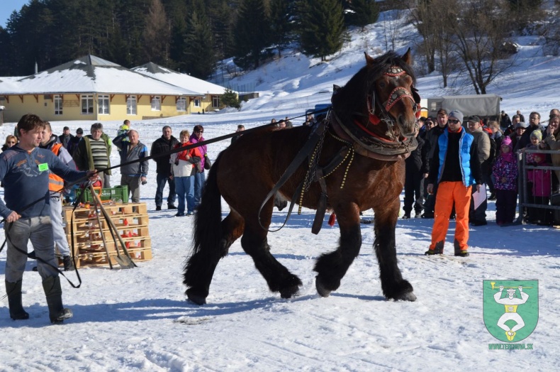 Preteky gazdovských koní 2015-99