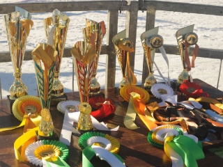 Preteky gazdovských koní 2015-2