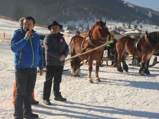 Preteky gazdovských koní 2015-19