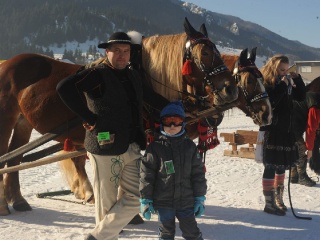 Preteky gazdovských koní 2015-17