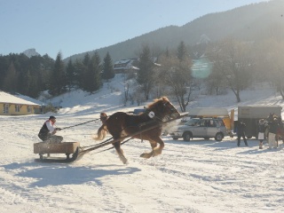 Preteky gazdovských koní 2015-9