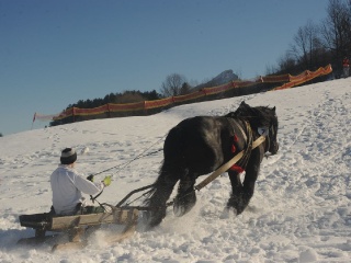 Preteky gazdovských koní 2015-28