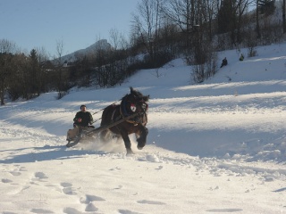 Preteky gazdovských koní 2015-24