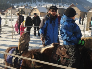 Preteky gazdovských koní 2015-4