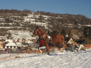 Preteky gazdovských koní 2015-23