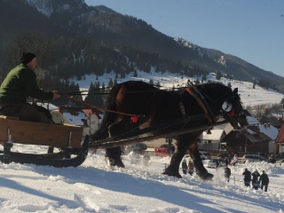 Preteky gazdovských koní 2015-25