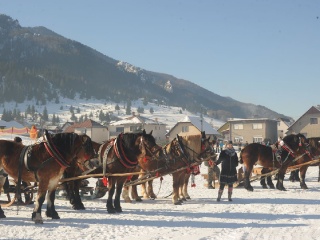 Preteky gazdovských koní 2015-12