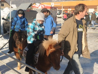 Preteky gazdovských koní 2015-3