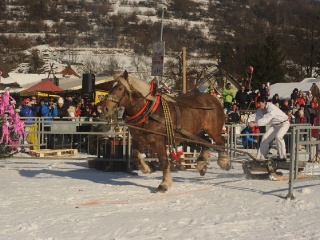 Preteky gazdovských koní 2015-30