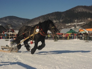 Preteky gazdovských koní 2015-29