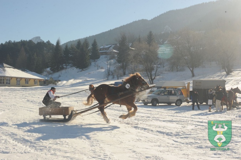 Preteky gazdovských koní 2015-9