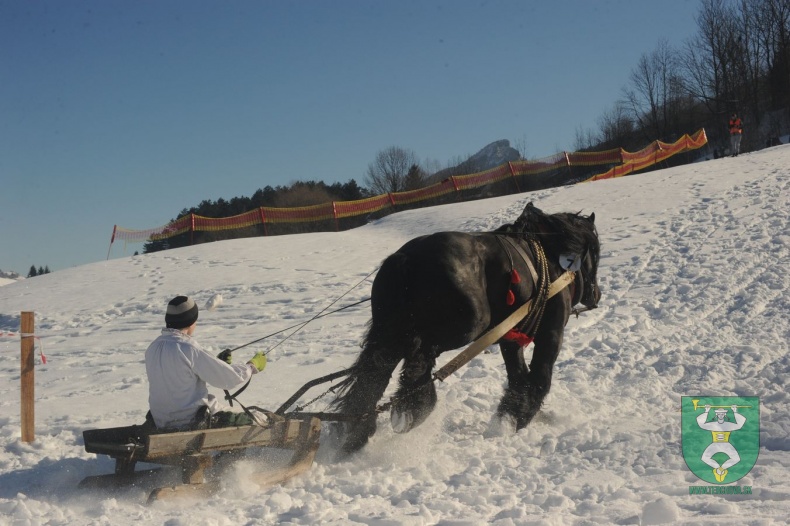 Preteky gazdovských koní 2015-28