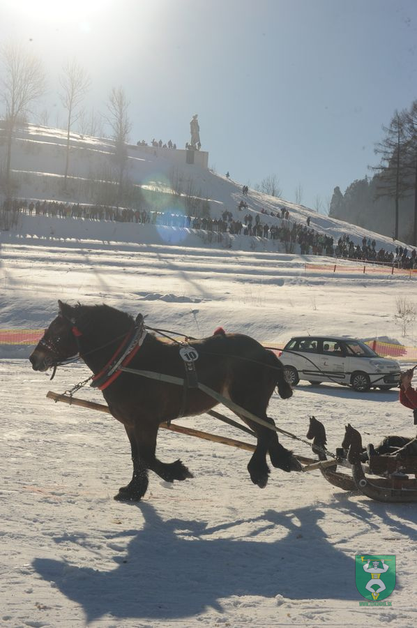 Preteky gazdovských koní 2015-31