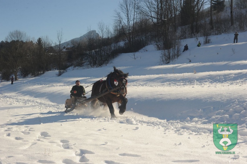 Preteky gazdovských koní 2015-24