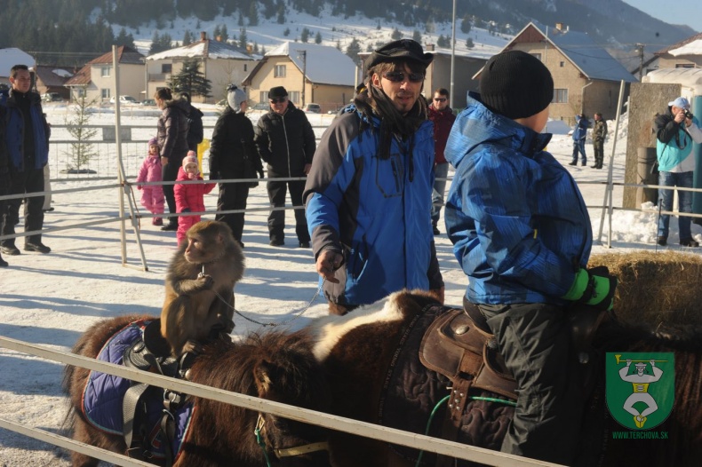 Preteky gazdovských koní 2015-4