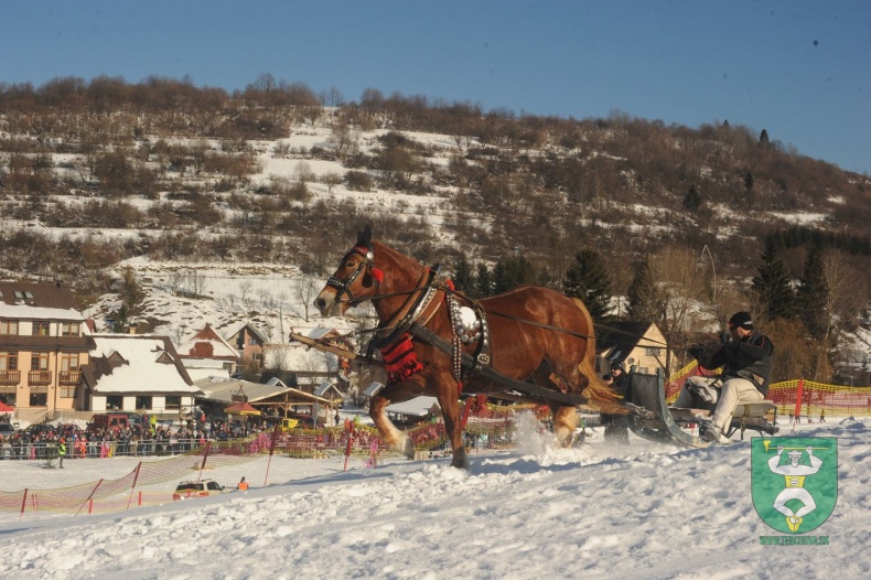 Preteky gazdovských koní 2015-23