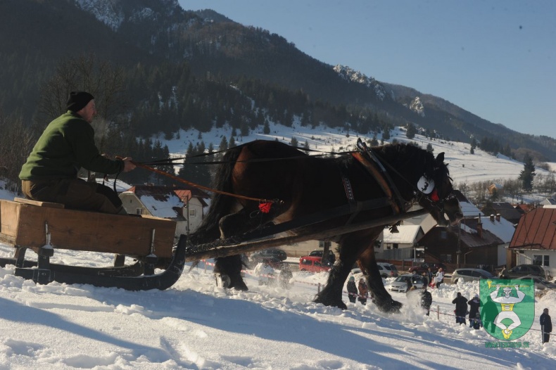 Preteky gazdovských koní 2015-25