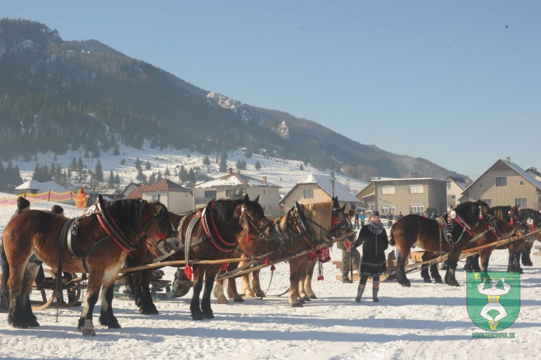 Preteky gazdovských koní 2015-12