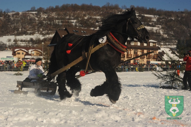 Preteky gazdovských koní 2015-27
