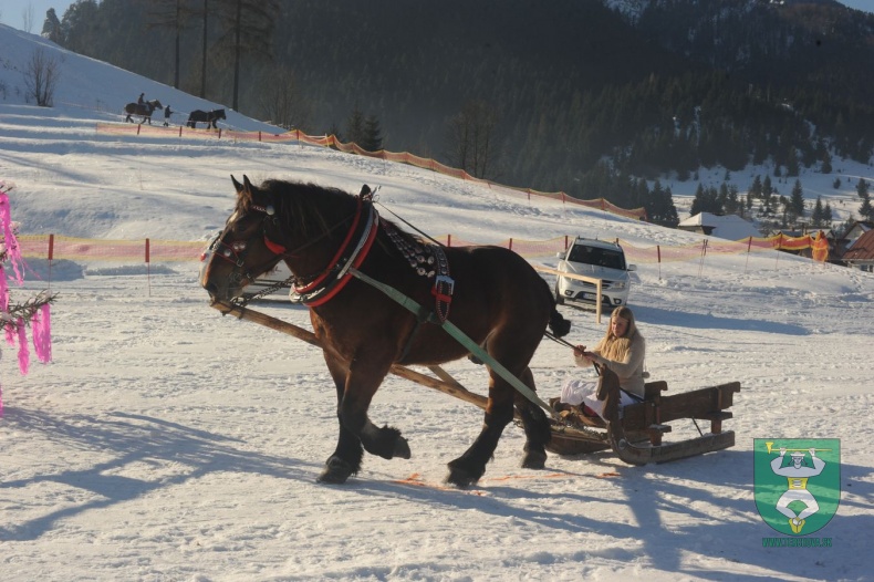 Preteky gazdovských koní 2015-6