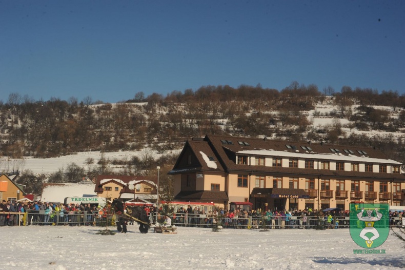 Preteky gazdovských koní 2015-26