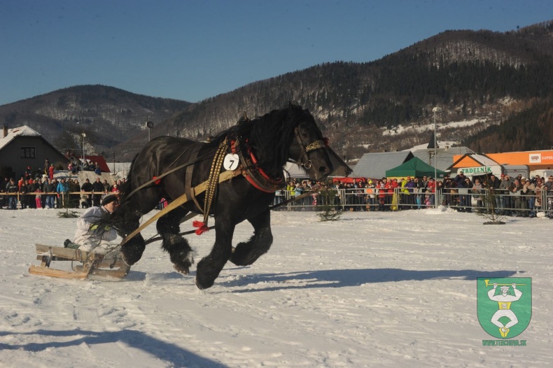 Preteky gazdovských koní 2015-29