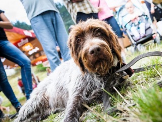 Jánošíkove dni 2016-114