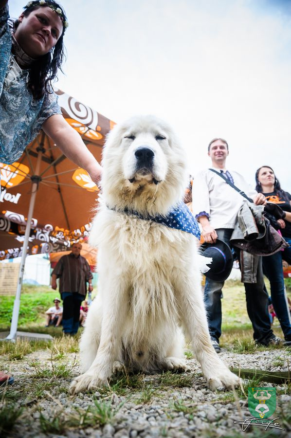 Jánošíkove dni 2016-113