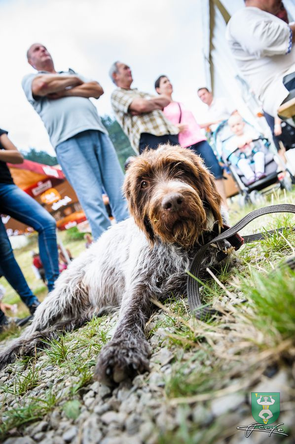 Jánošíkove dni 2016-114