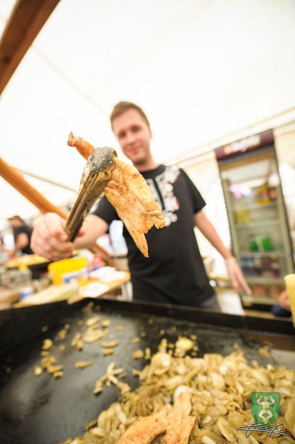 Jánošíkove dni 2016-20