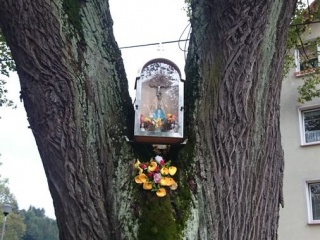 Kríž u Holúbkov-15