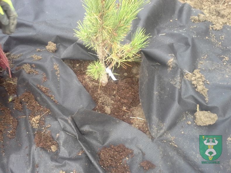 Cintorín Terchovské srdce-3