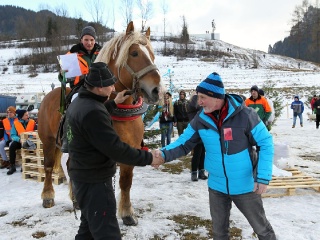 Gazdovské kone 2017-51